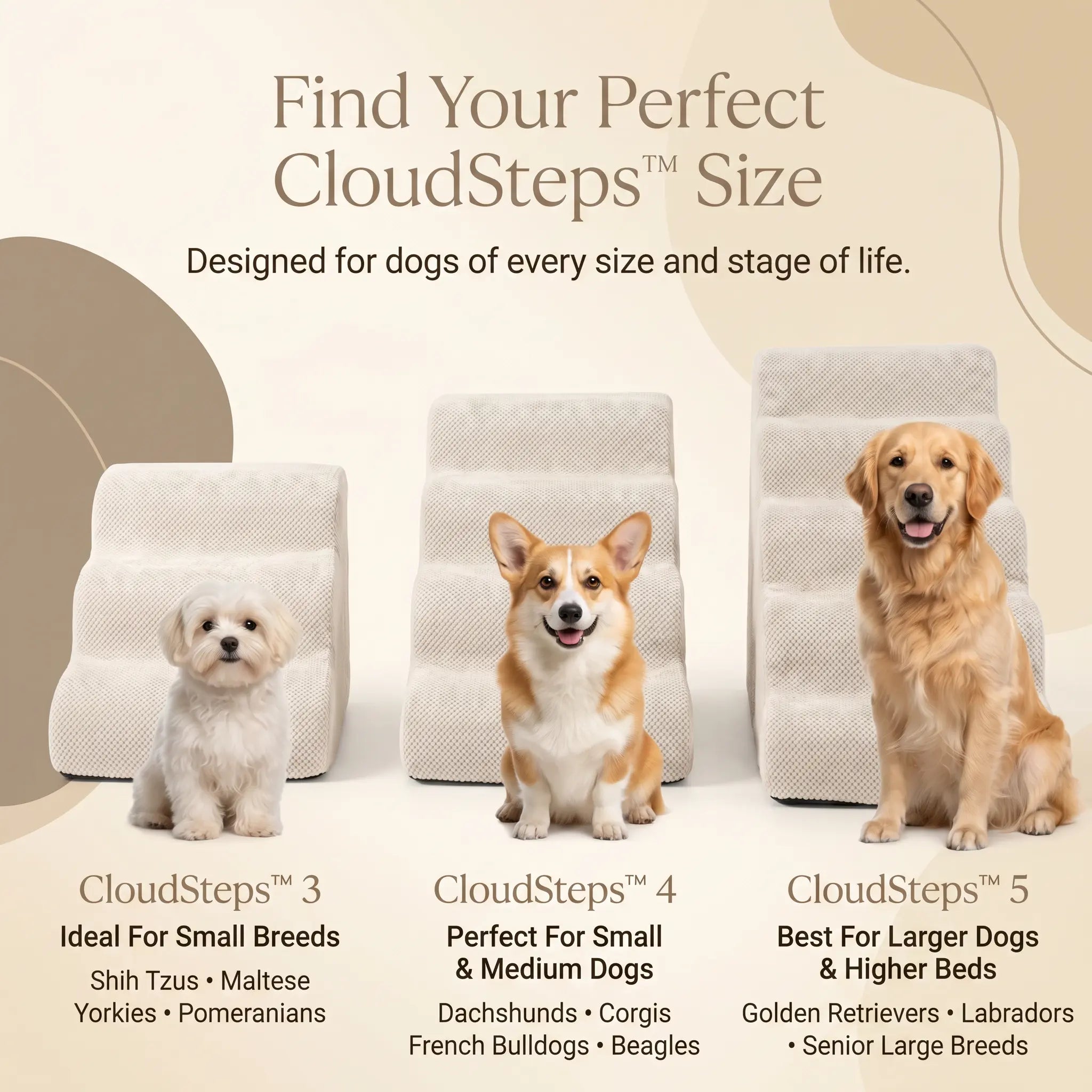 SagePaw CloudSteps™